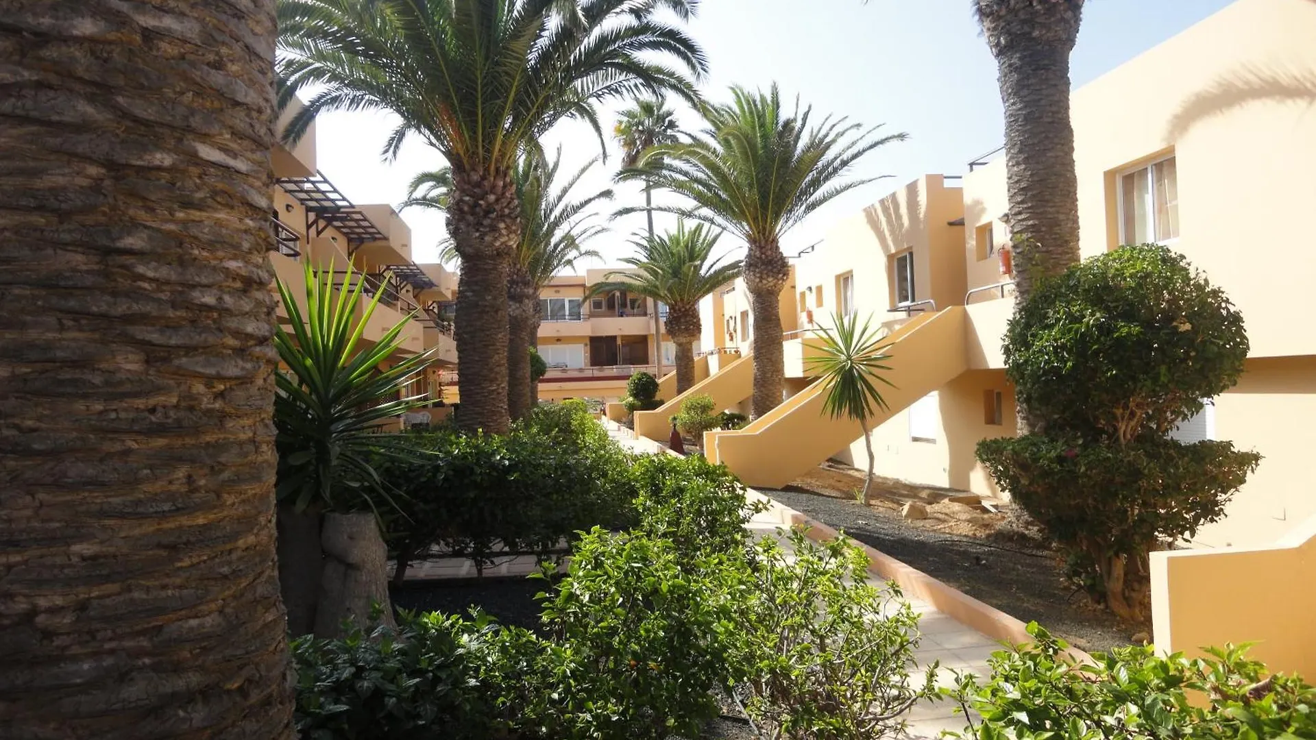 Laspalmas Corralejo