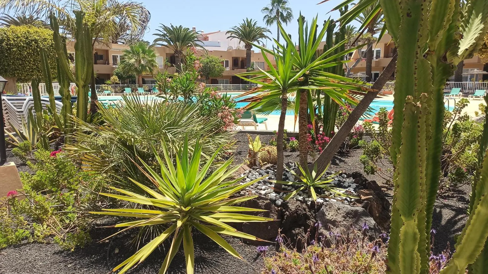 Apartment Laspalmas Corralejo